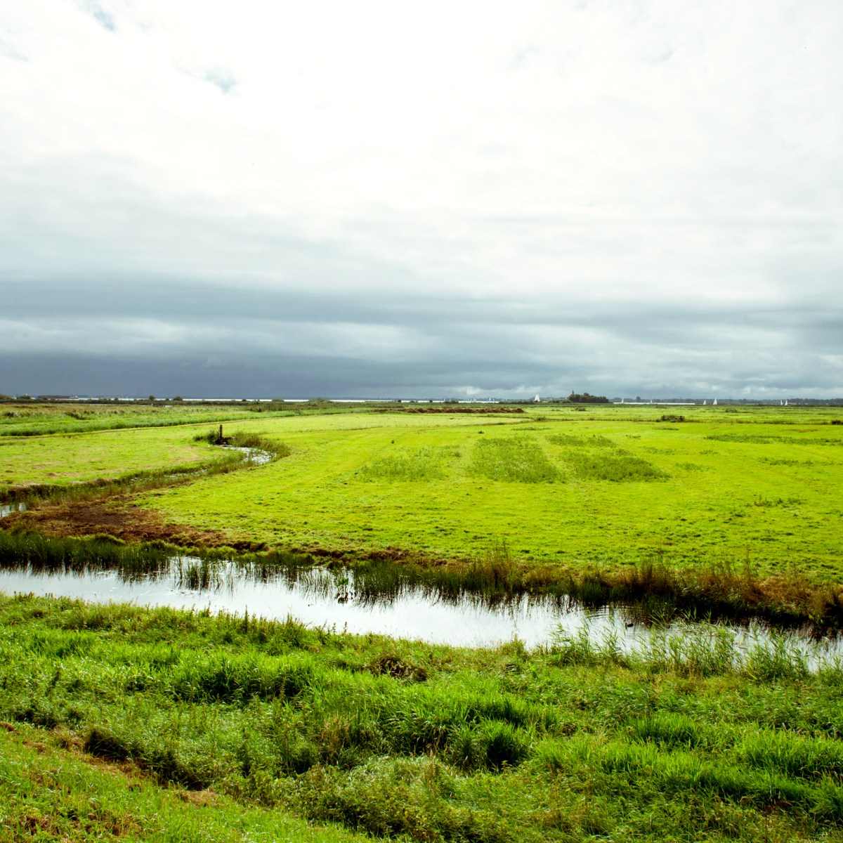 Polder landscape