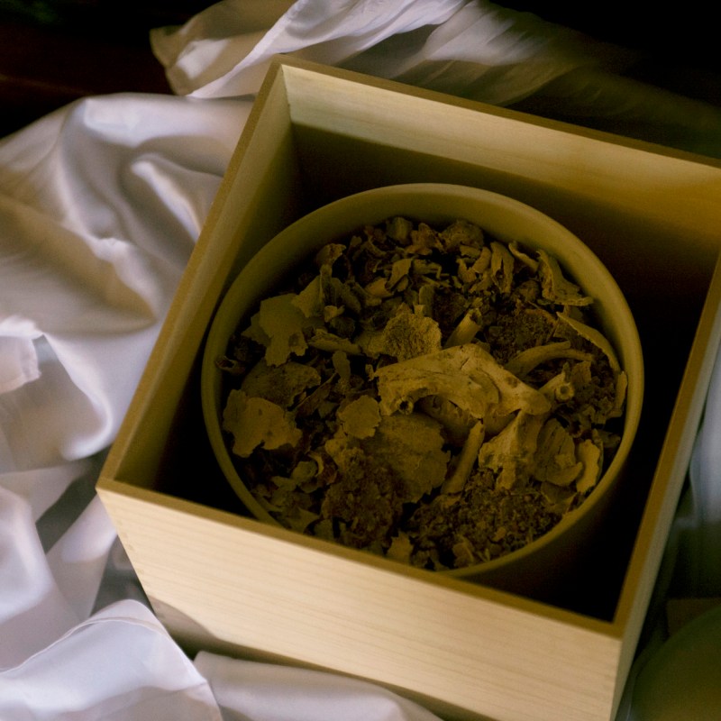 49日の謎が解けたとき