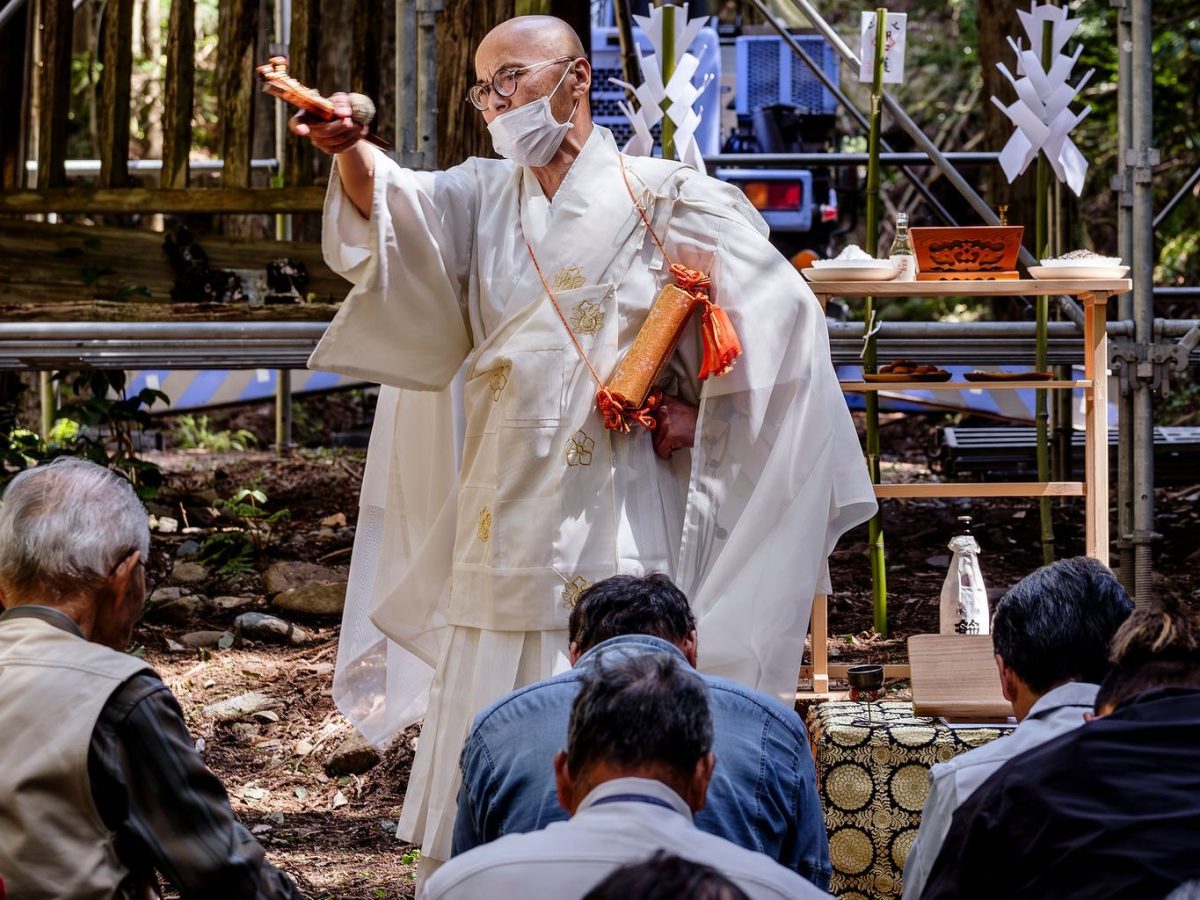 Nio-mon project 2024